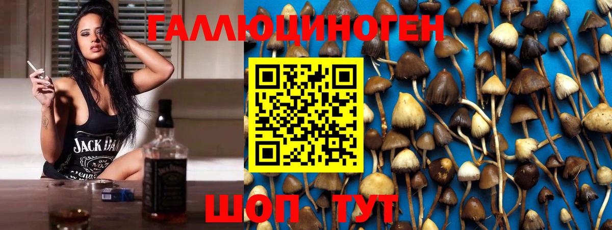 Галлюциногенные грибы GOLDEN TEACHER Электрогорск